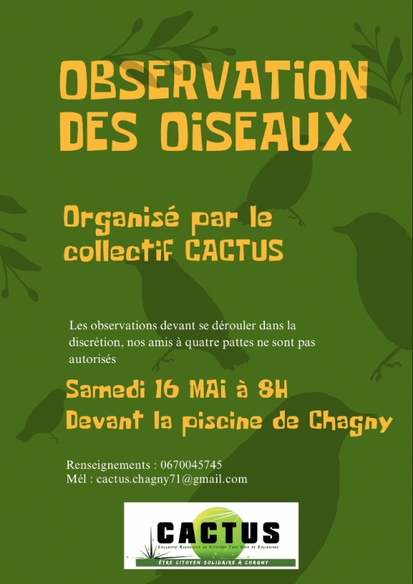 Chagny - Le collectif CACTUS propose une matinée d’observation des oiseaux le 16 mai
