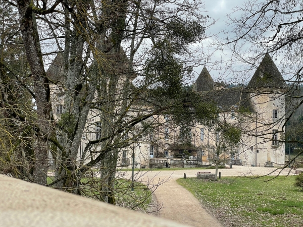 Trésors mécaniques et vignobles d'exception : la passion héritée au château de Savigny-lès-Beaune