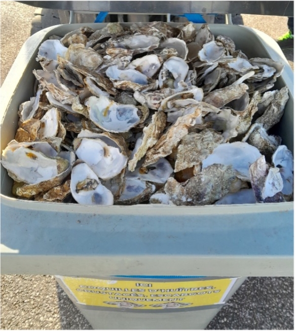 La Ville de Chevigny va récupérer les coquilles d’huîtres et d’escargots ! 