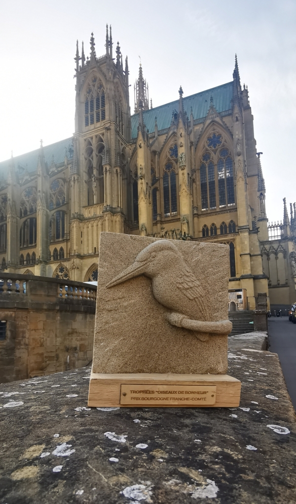 L’association " Les Chouettes du Cœur " récompensée par le trophée « Les Oiseaux de Bonheur »