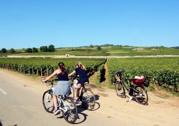 Voies douces, véloroutes et VTT : l’agglomération Beaune Côte & Sud accélère sur les mobilités cyclables