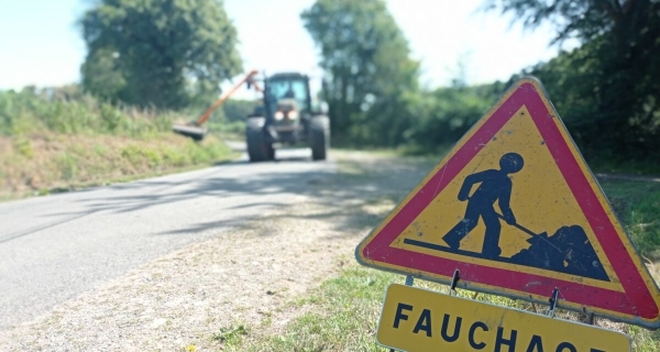 Côte d'Or - Campagne de fauchage 2024 : la 1re passe débute lundi 29 avril dans la Plaine de Saône et est étendue à tout le département lundi 13 mai