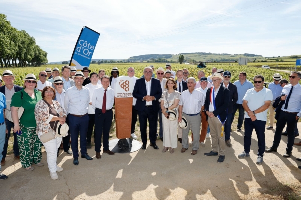 Route des Grands Crus - La Côte-d’Or prépare les 90 ans de sa route légendaire