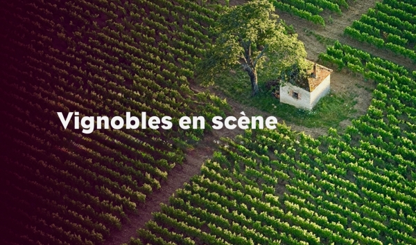 Du 17 au 19 octobre, la Côte-d’Or se met en scène… au cœur de ses vignes !