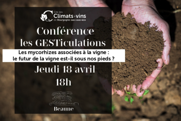 Beaune - Cité des Climats et Vins de Bourgogne - Conférence : Les mycorhizes associées à la vigne : le futur de la vigne est-il sous nos pieds ?