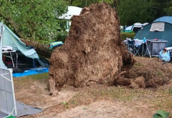 Orage mortel au camping : "Il y avait des tentes sous les arbres, on ne savait pas s'il y avait des enfants dessous"