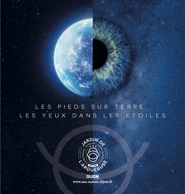 Au Planétarium de Dijon, un spectacle à 360° pour découvrir les arbres autrement