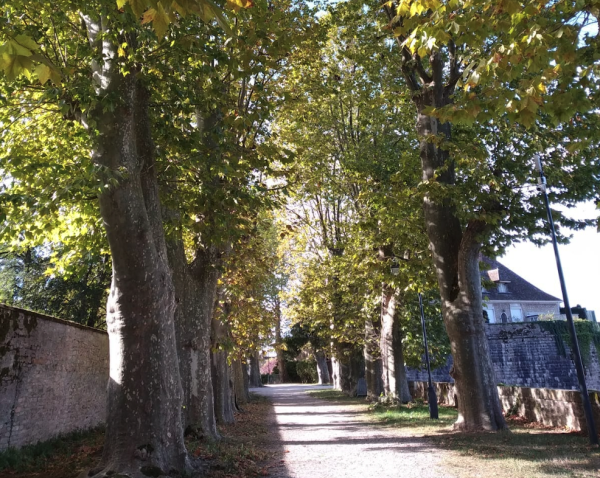 Beaune – Une conférence pour porter un nouveau regard sur le cimetière, le 17 février
