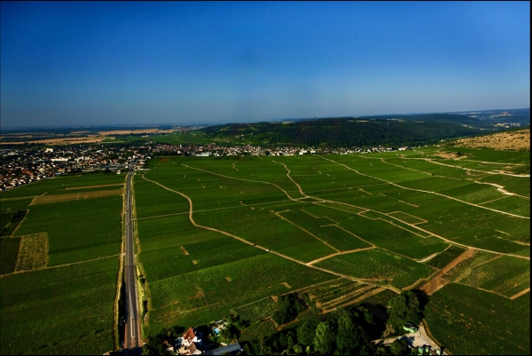 Les Hospices de Nuits-Saint-Georges étendent leur vignoble avec un premier cru « Les Damodes » 