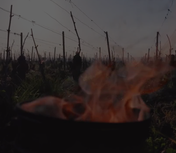Les images spectaculaires des bougies allumées sur la côte de Beaune : "beaucoup de moyens ont été déployés"