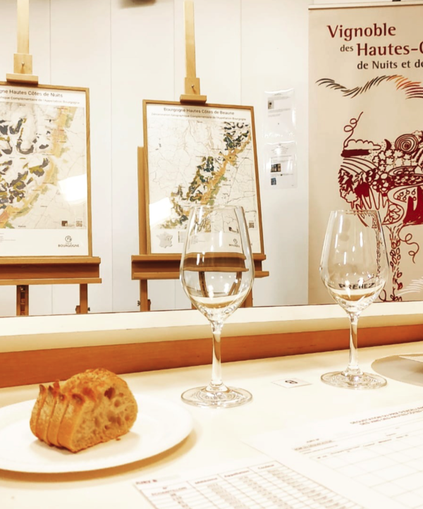 Prix d’Excellence 2026 : les Hautes-Côtes confirment leur montée en puissance