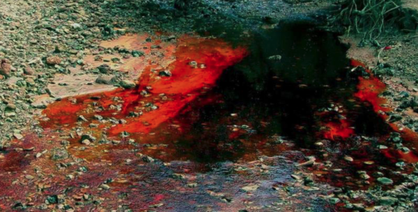 Côte-d'Or - Suivi d’anciennes pollutions aux solvants chlorés aux abords de sites industriels
