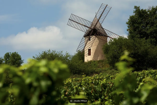 Santenay – Le moulin Sorine ouvre ses portes au cœur des vignes