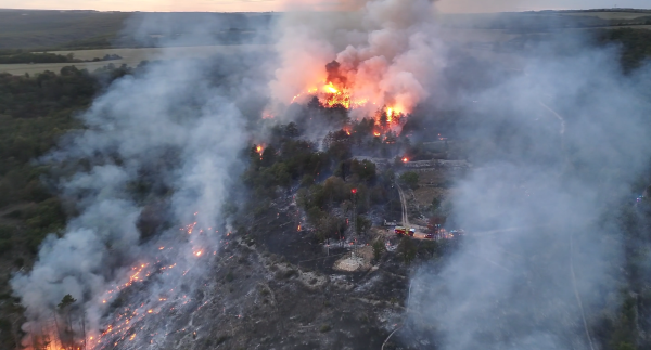 Plombières-lès-Dijon – Le feu est fixé après avoir brûlé 12 hectares, deux pompiers blessés