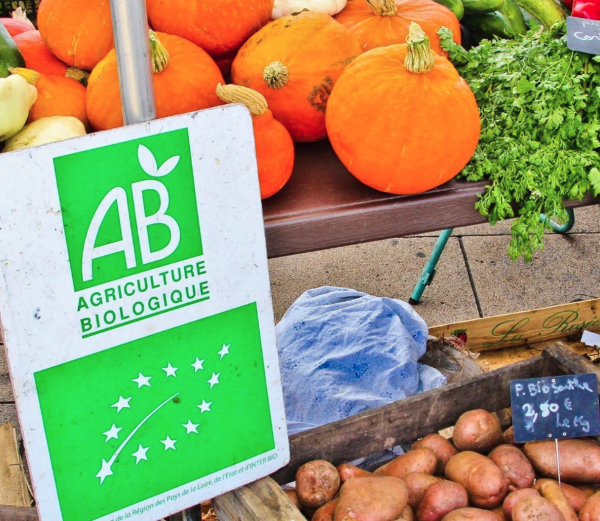 L'agriculture bio publie son bilan 2025 en Bourgogne-Franche-Comté, et c'est pas terrible