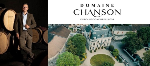 Beaune - Thierry Berger, nouveau Directeur Général du Domaine Chanson