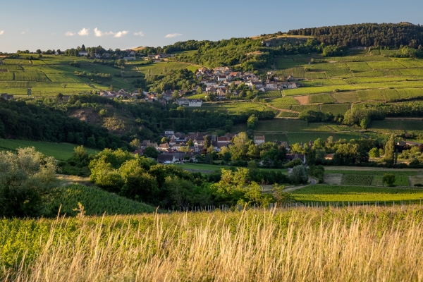 « Du côté des Maranges » - Près de 4 000 visiteurs pour un week-end de Pâques festif dans la continuité de la Saint-Vincent Tournante 2026