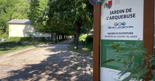 Journée mondiale des sols : quatre jours pour explorer la vie sous nos pieds au Jardin de l’Arquebuse