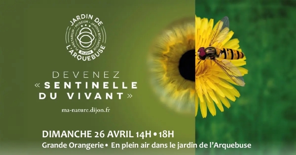 À Dijon, le Jardin de l’Arquebuse invite le public à devenir « Sentinelle du vivant »