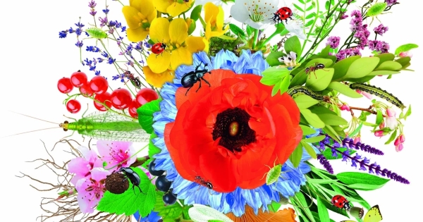 La Ville de Dijon et son jardin de L’Arquebuse fêtent la nature le dimanche 25 mai