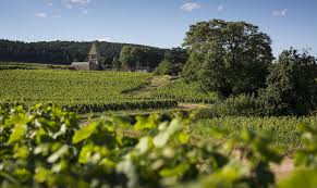 Gevrey-Chambertin distinguée au Prix national de la Préservation du Patrimoine Viticole 2025