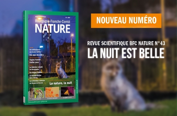 « La nuit est belle » : la biodiversité nocturne au cœur du 43e numéro de Bourgogne-Franche-Comté NATURE