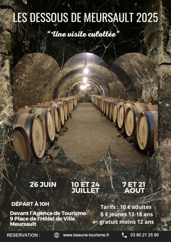 Meursault côté caves : un voyage sous terre et dans le temps