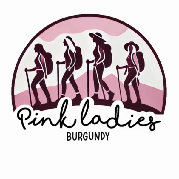Deux événements solidaires à Seurre au profit des Pink Ladies Burgundy