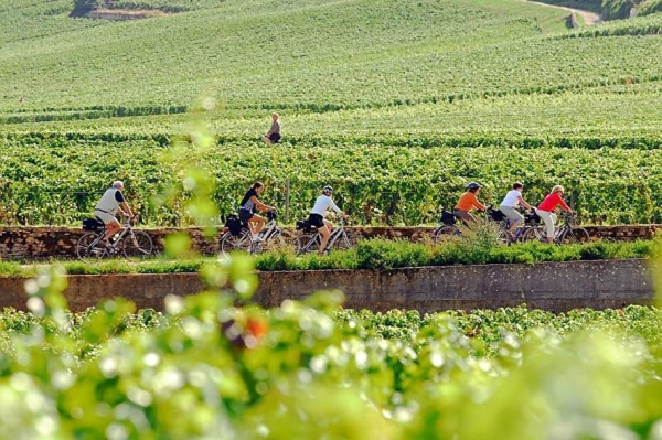 Beaune - L’Hôtel-Dieu dévoile un programme d’avril riche et inédit : patrimoine, vélo et gastronomie