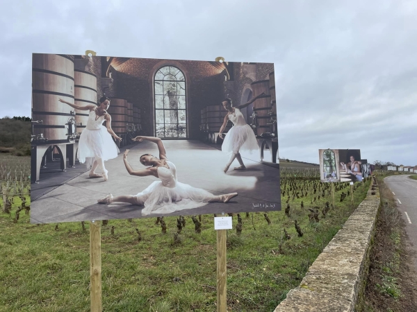 J-1 de la Saint-Vincent Tournante, édition 2024 - Une célébration artistique et vinicole à Morey-Saint-Denis et Chambolle-Musigny