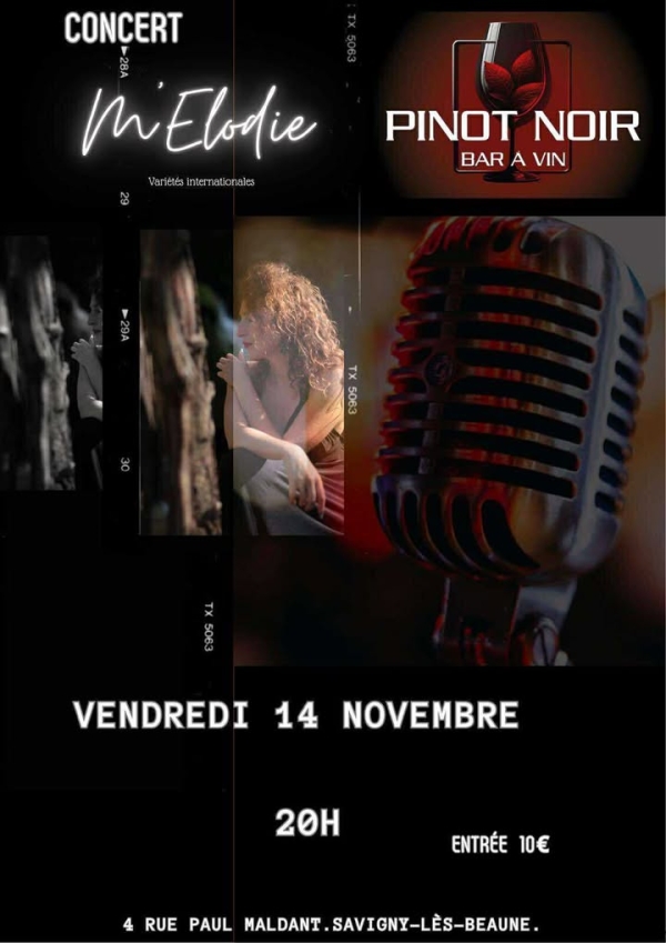 Savigny-lès-Beaune – Ambiance musicale et vins de Bourgogne : Élodie en concert au bar à vin Le Pinot Noir