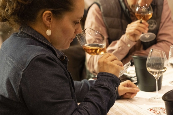 Résultats Tastevinage 2025 - 124 lauréats pour incarner l’expression fidèle des terroirs
