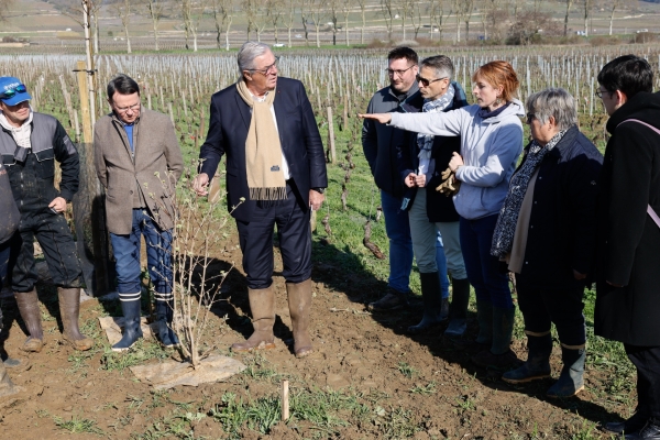 De nouvelles expérimentations sur les vignes départementales à Pommard