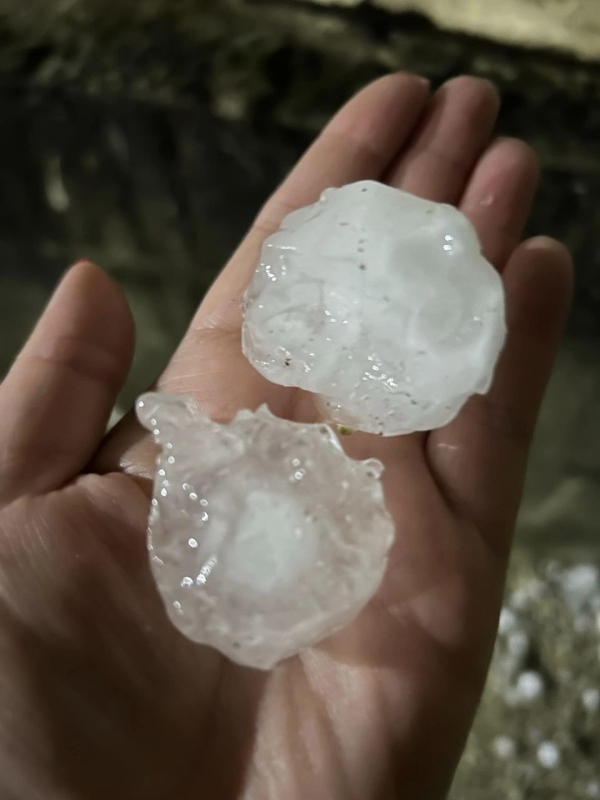 Orages de grêle de ce mardi soir : le secteur de Meursault particulièrement impacté, les viticulteurs évaluent les dégâts