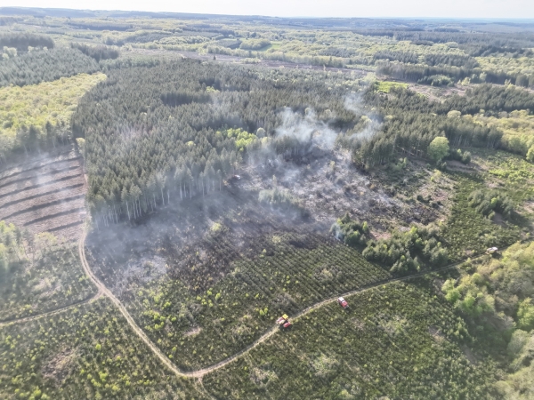 Feu de forêt à La Roche-en-Brénil - L’incendie fixé après quatre hectares détruits