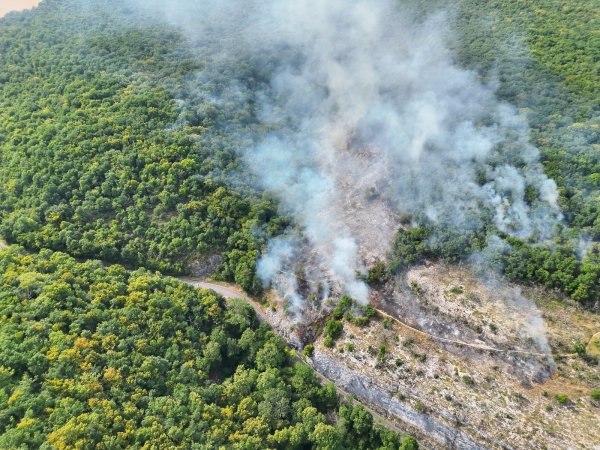 Feu de forêt à Brochon : le sinistre fixé après avoir parcouru 2,5 hectares