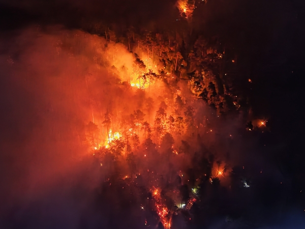 Feux de forêt en Côte-d’Or - Les incendies de Fleurey-sur-Ouche et Morey-Saint-Denis sous contrôle