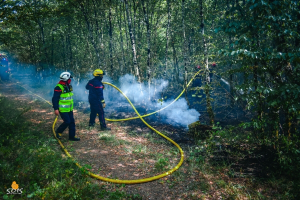 Feux de forêts en Côte-d’Or - Appel aux employeurs pour faciliter l’engagement des sapeurs-pompiers 
