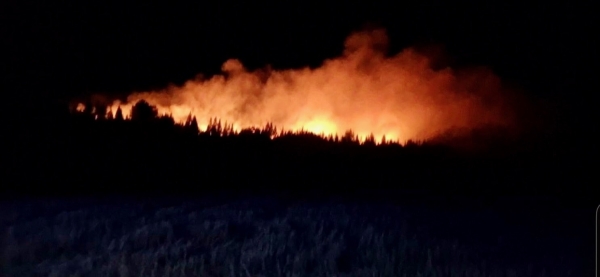 Saint-Romain - Un incendie parcourt jusqu’à 15 hectares de forêt et de friches