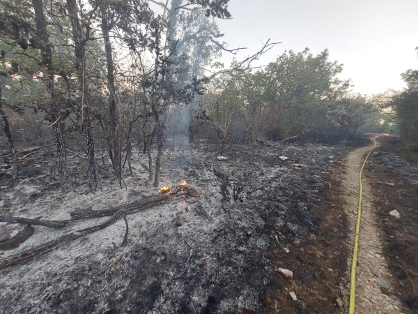 Feu de forêt dans le Val-Suzon - 1,5 hectare parcouru par les flammes