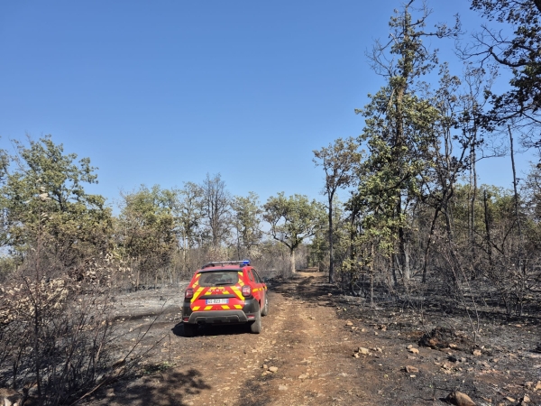 Incendie de Couchey - Après 150 hectares ravagés, le feu est fixé ce jeudi à 17 h