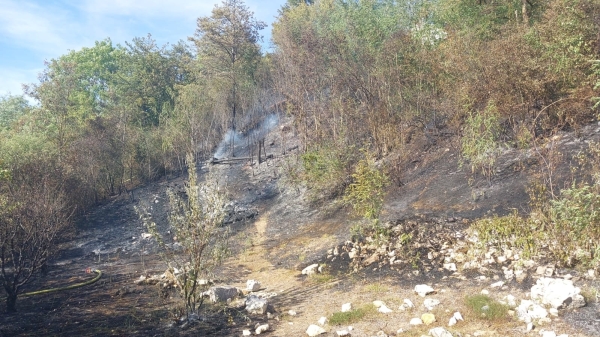 Talant - Un demi-hectare brûlé dans un feu de friches