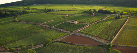 La commission permanente du Conseil départemental attribue près de 5,3 millions d’euros d’aides en faveur des territoires et des Côte-d’Oriens