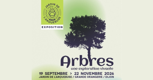 Dijon - Le Jardin de l’Arquebuse invite à une immersion au cœur des arbres
