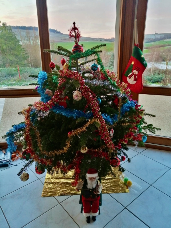 Après les fêtes, recyclez votre sapin : quatre déchetteries mobilisées autour de Beaune