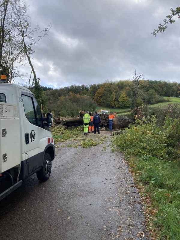 TEMPETE BENJAMIN - Au plus fort, 15 000 foyers de Bourgogne-Franche Comté ont été privés d'électricité