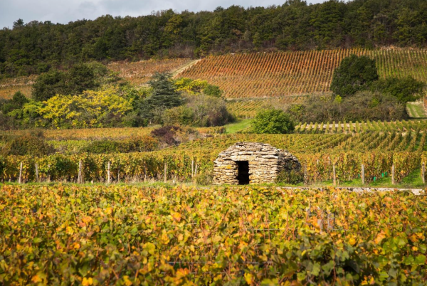 4 530 hectares de paysage de la Côte de Nuits classés monuments naturels... après 10 années de combat