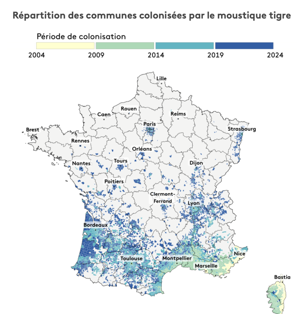 Début janvier, seuls 15 départements français étaient encore épargnés par le moustique tigre 