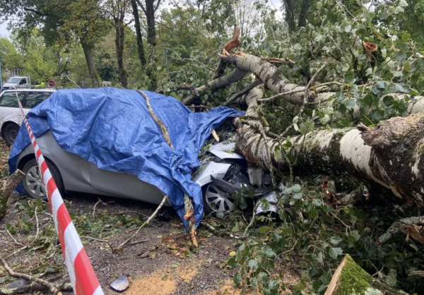 770 campeurs évacués, une femme hospitalisée dans le coma, des voitures écrasées dans le Morvan