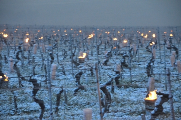 Vers un épisode de gel de printemps en Bourgogne ?